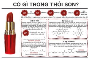 Bảng thành phần thông thường của một cây son môi 