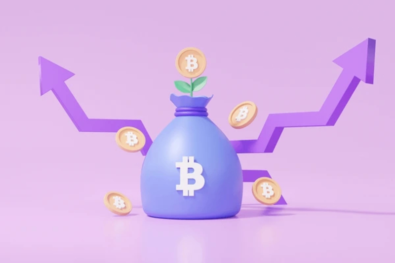 Purple Bitcoin và tiềm năng phát triển trong tương lai