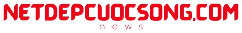 logo-netdepcuocsong