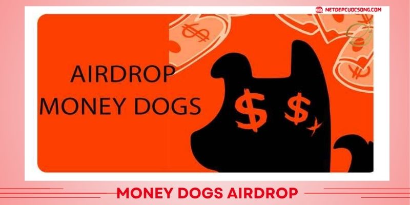 Money Dogs Airdrop