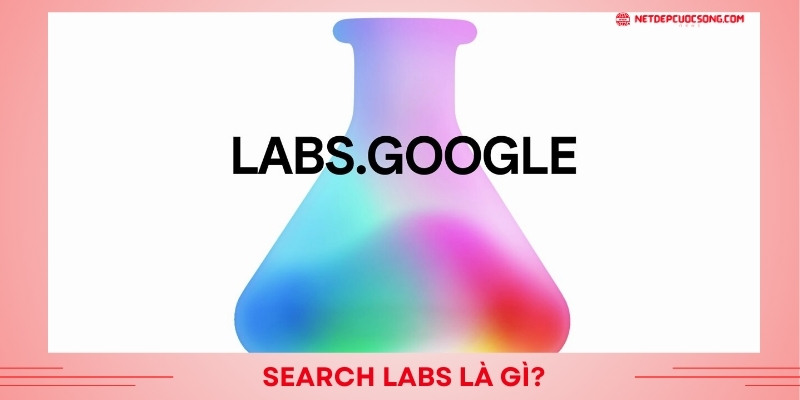 Search Labs là gì?